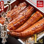 うなぎ蒲焼き うなぎ 定期便 Wun-0066