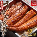 うなぎ蒲焼き うなぎ 定期便 Wun-0070