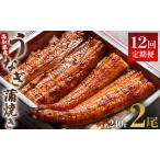 うなぎ蒲焼き うなぎ 定期便 Wun-0072
