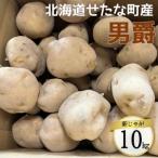 男爵 10kg