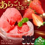 菓子 アイス 苺好きが夢中 THE ICHIGO