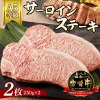 宮崎牛サーロインステーキ2枚 A5等級