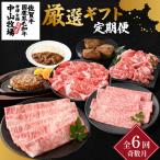 牛肉 焼肉 バーベキュー 定期便6回 奇数月