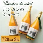 みかん ジュース 3本