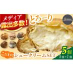 9ream クリーム こだわりシュークリームSET 5個