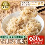 K-198-F 令和7年産 てまひま米 品種:にこまる