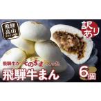 訳あり 飛騨牛まん 6個セット 肉まん 簡易包装