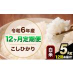 ふるさと納税 【12ヶ月定期便】令和6年産 定期便 こしひかり 白米 定期便 5kg 精米 熊本県産(南阿蘇村産含む) 南阿蘇村《申込み翌月から発送.. 熊本県南阿蘇村