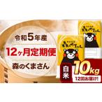令和5年産 森のくまさん 白米 10kg