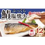 ふっくら鯖塩焼き レンジ加熱パック12食入