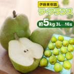 ラ フランス 洋梨 4Lサイズ 約5kg