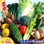 土佐季節の野菜詰め合せセット 3ヵ月に1回