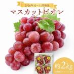 10月~ マスカットビオレ2kg箱