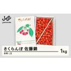 ふるさと納税 先行予約 さくらんぼ 佐藤錦 赤秀 L玉 1kg バラ詰 ご家庭用 2025年産 令和7年産 山形県産 mm-snalx1000 山形県山辺町
