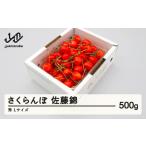 ふるさと納税 先行予約 さくらんぼ 佐藤錦 秀品 L玉 500g バラ詰 2026年産 令和8年産 山形県産 mm-snbax500 山形県山辺町