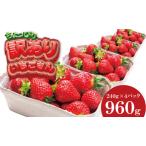 ショッピングふるさと納税 訳あり 不揃い ふるさと納税 【先行予約令和8年1月配送開始】 訳あり 不揃い粒の いちごさん 通常サイズ （ 240ｇ×４Ｐ ）960g 江島農園 農家 直送品 果物.. 佐賀県小城市