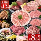 ナンチクのお肉を楽しむ定期便 ナンチク厳選コース