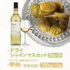 サントリー登美の丘ワイナリー〈SUNTORY