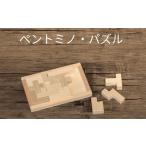 木製 ブロック パズル テトロミノ 知育 玩具