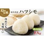ふるさと納税 【定期便】岐阜県産 ハツシモ 10kg (3ヵ月連続お届け) 米 お米 コメ 白米 精米 ハシツモ 定期便 岐阜 瑞穂市 ※2025年11月下旬頃よ.. 岐阜県瑞穂市