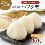 新米 米 10kg