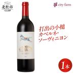 打出の小槌 カベルネ ソーヴィニヨン 2022 1本