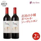 打出の小槌 カベルネ ソーヴィニヨン 2022 2本
