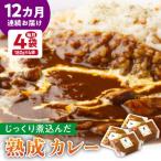 生カレー 4袋