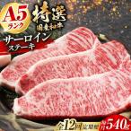 和牛特上サーロイン ステーキ 180g×3枚