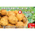 福祉作業所の仕事にもつながる 徳之島の“新”じゃがいも 3kg