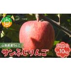 ふるさと納税 《先行予約》 【訳あり】山形県産サンふじりんご 約10kg 《2025年12月上旬頃より順次発送予定》バラ入り りんご リンゴ 林檎 デザ.. 山形県中山町