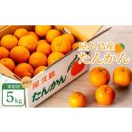 2025年 屋久島産たんかん 訳あり 約5kg