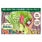 桐島畑の季節野菜 5種類 +ジンジャーシロップ1本