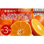 みかん 小原紅早生 綾川産 約3kg