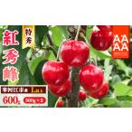 ふるさと納税 令和7年産 特秀品 さくらんぼ「 紅秀峰 」600g (300g×2パック) L以上 2025年産 山形県産 山形産 【2025年6月中旬頃〜7月上.. 山形県寒河江市