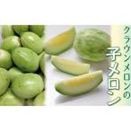 クラウンメロンの子メロン メロン青肉 果物類