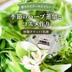体験チケット 香りのスクールエイミー ハーブ蒸留