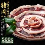 ショッピングふるさと納税 肉 ふるさと納税 GB-09　猪肉　ロース　500g（250g×2パック） 鳥取県大山町