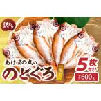 あけぼの丸ののどぐろ一夜干し5枚セット合計600g