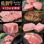牛肉 サーロイン 定期便 年12回 佐賀牛 わくわくコース