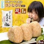 令和8年産 有機アイガモ農法コシヒカリ 30kg