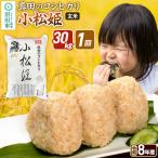 令和8年産 真田のコシヒカリ小松姫 30kg