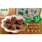 生チョコレート 1箱