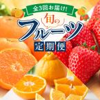 紀州和歌山産旬のフルーツ定期便 田村みかん