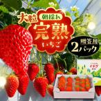 完熟 大粒 いちご 2パック