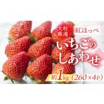 ショッピングふるさと納税 いちご ふるさと納税 ≪先行予約≫【愛知県・田原産】ブランドいちご「いちごのしあわせ」4パック（約260g×4P） ／ 苺 イチゴ フルーツ 果物 農薬.. 愛知県田原市