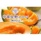 ふるさと納税 中富良野赤肉メロン 特大1玉2kg以上【遠藤ファーム】【AX-006】 北海道中富良野町