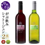 ワイン セット シャトージュン JAPAN