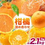 柑橘 食べ比べ 約2.1kg計3種入り