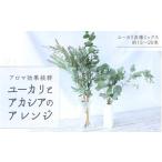 \アロマ効果抜群 ユーカリとアカシア ミモザ